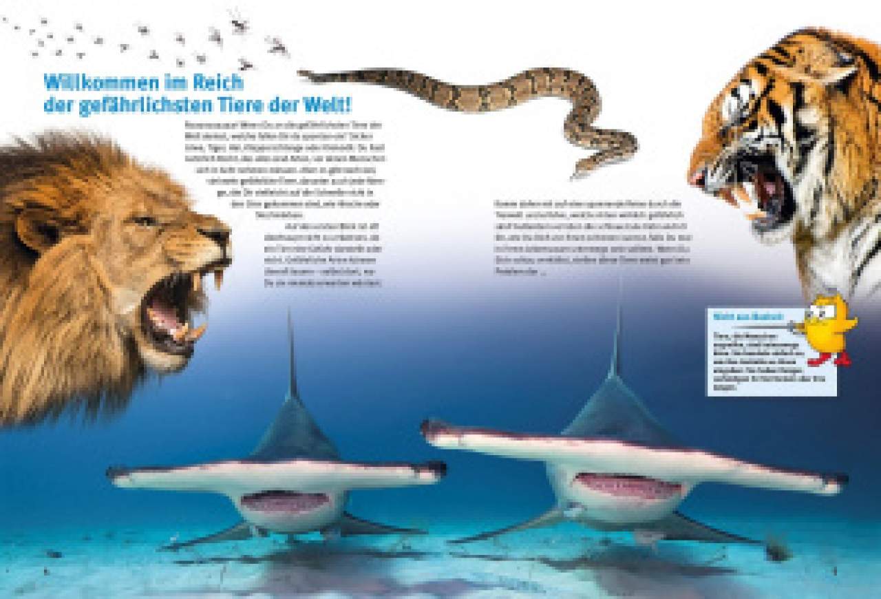 Entdecke die gefährlichsten Tiere